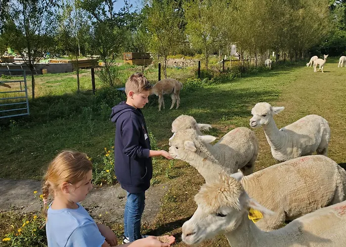 Dartmoor Reach Alpaca Farm Heated Cabins 5 Mins Drive To Dartmoor