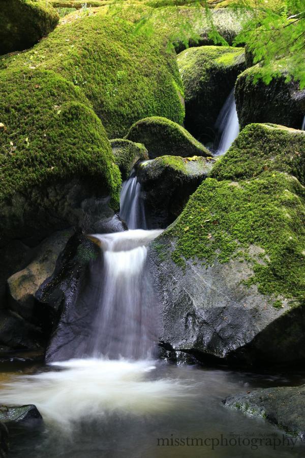 Hébergement de vacances Dartmoor Reach Alpaca Farm Heated 5 Mins Drive To Dartmoor Bovey Tracey