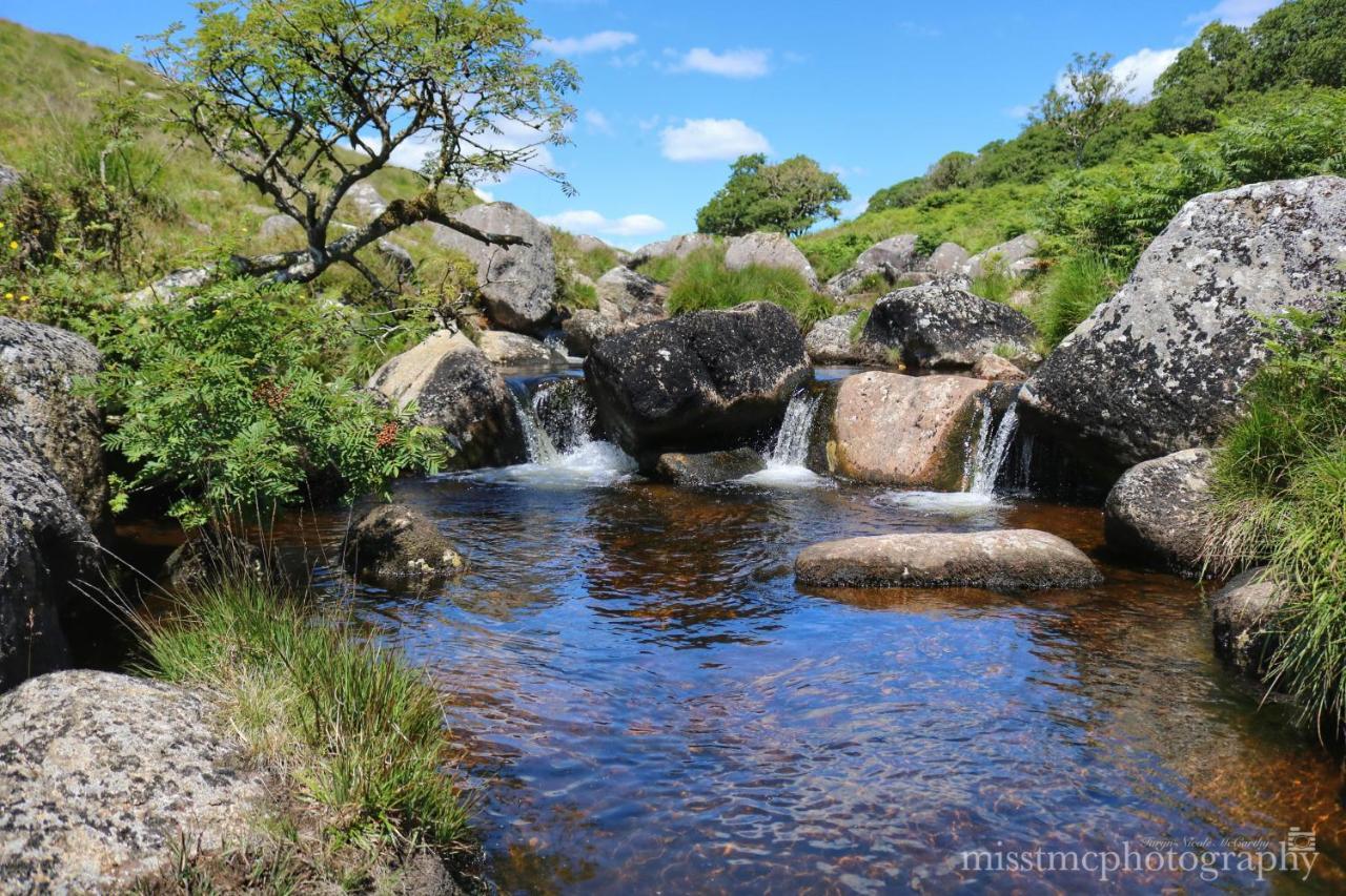 Dartmoor Reach Alpaca Farm Heated 5 Mins Drive To Dartmoor * Bovey Tracey