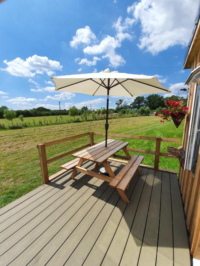 Dartmoor Reach Alpaca Farm Heated 5 Mins Drive To Dartmoor Ferienhaus *