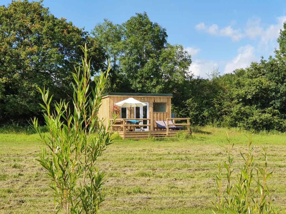 Dartmoor Reach Alpaca Farm Heated 5 Mins Drive To Dartmoor Hébergement de vacances