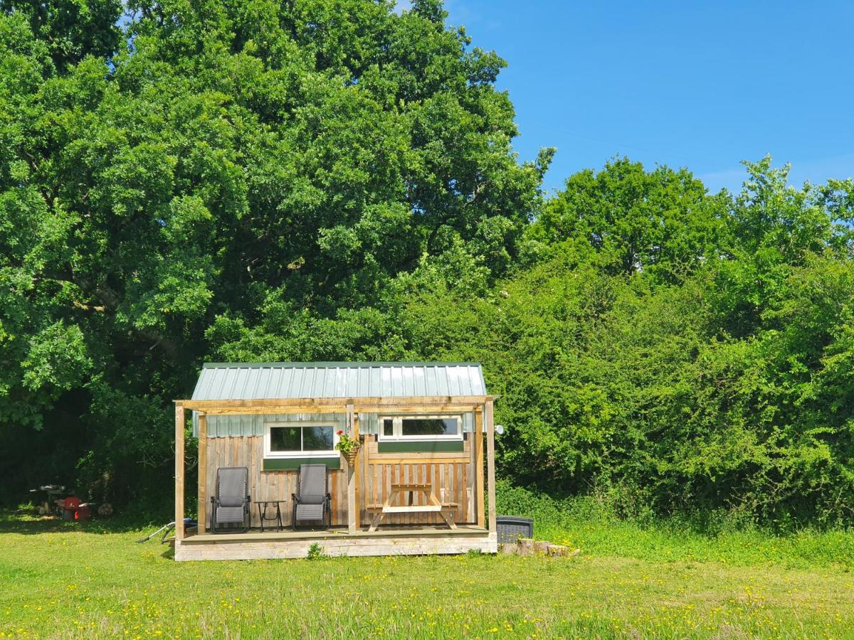 Ferienhaus Dartmoor Reach Alpaca Farm Heated 5 Mins Drive To Dartmoor Bovey Tracey