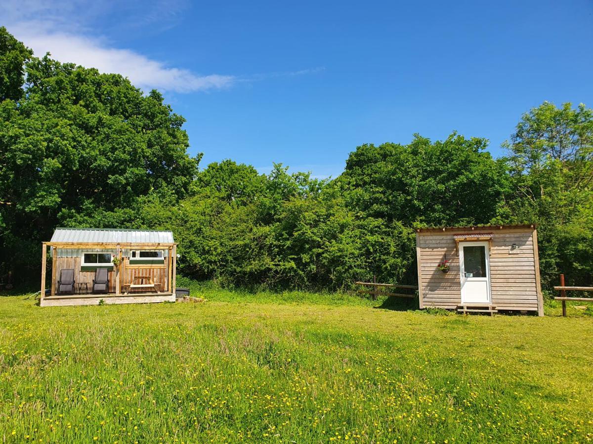 Ferienhaus Dartmoor Reach Alpaca Farm Heated 5 Mins Drive To Dartmoor Bovey Tracey