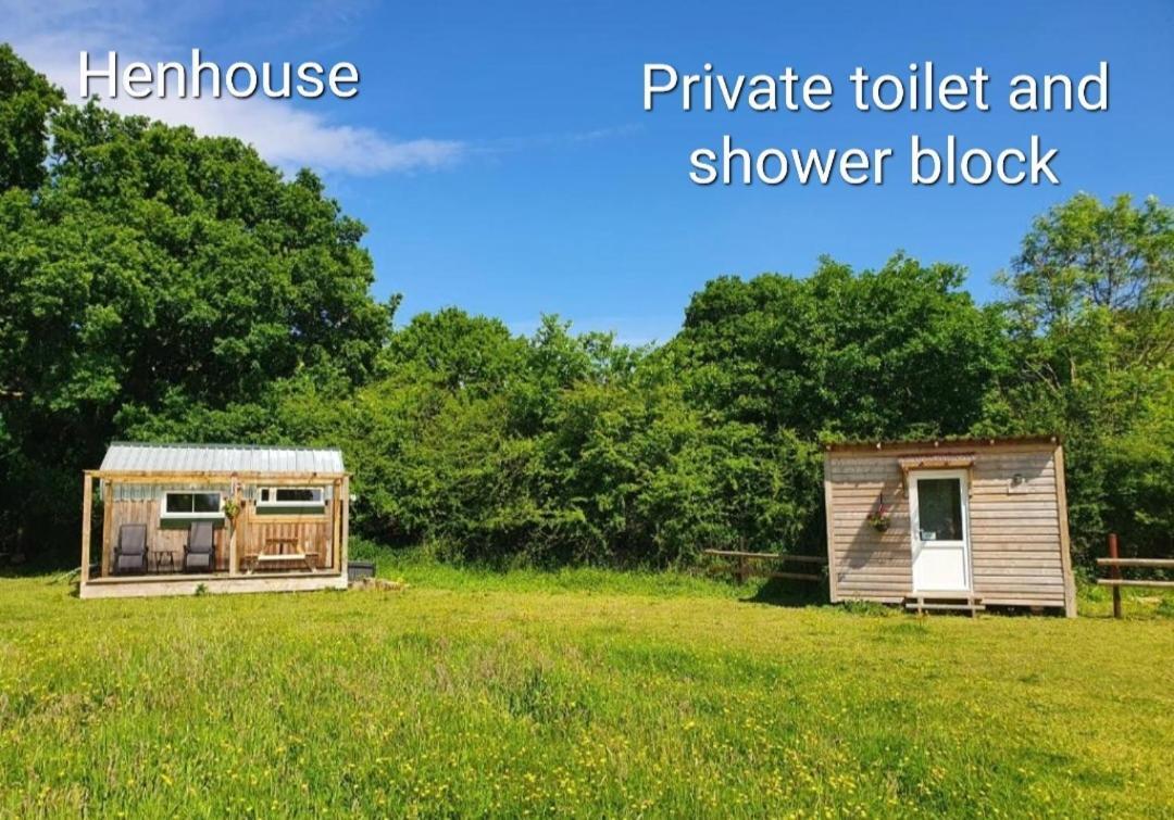 Dartmoor Reach Alpaca Farm Heated 5 Mins Drive To Dartmoor Hébergement de vacances