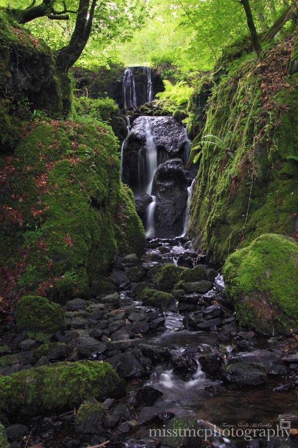 Дом отдыха Dartmoor Reach Alpaca Farm Heated 5 Mins Drive To Dartmoor *