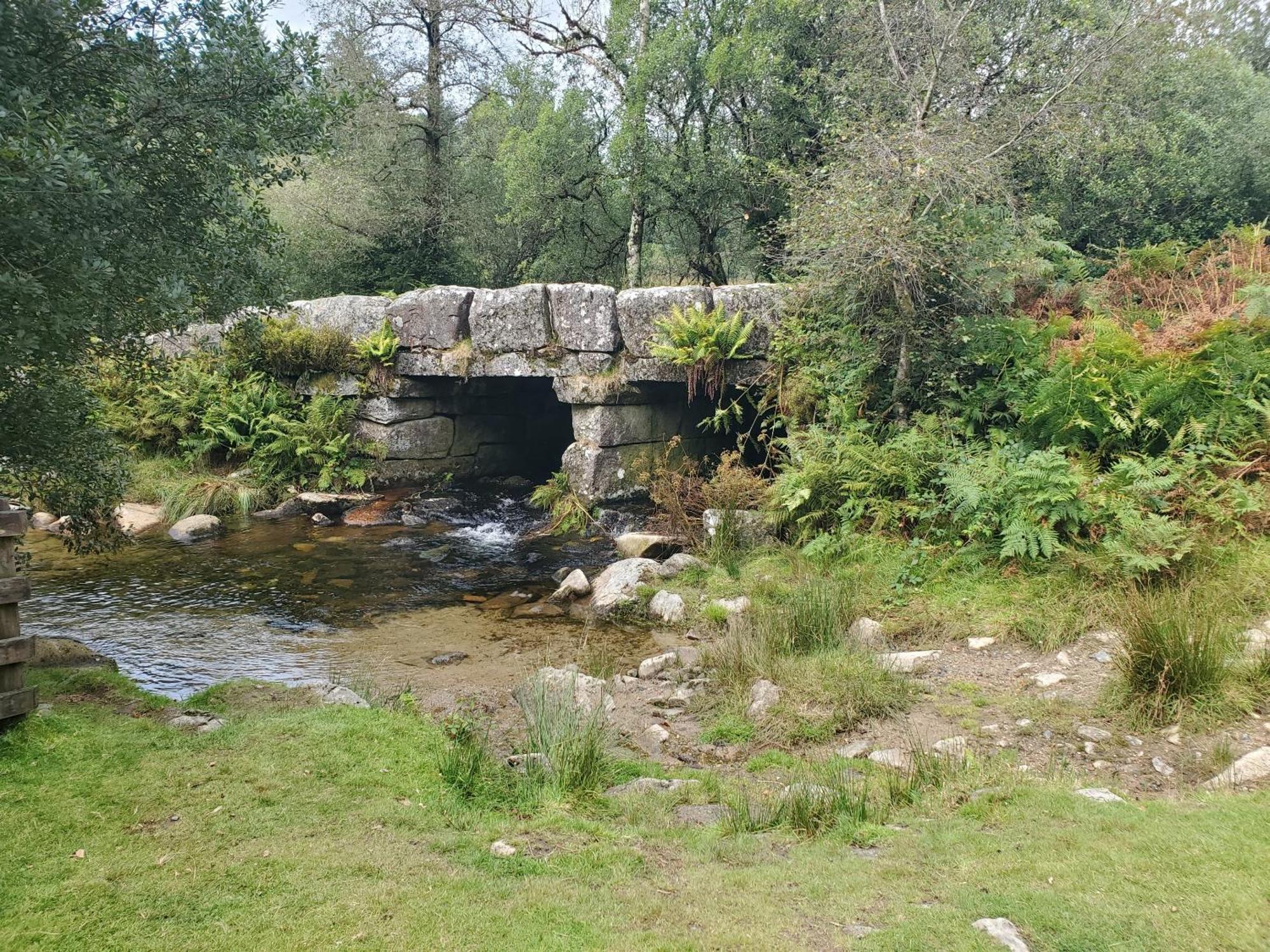 Dartmoor Reach Alpaca Farm Heated 5 Mins Drive To Dartmoor Дом отдыха